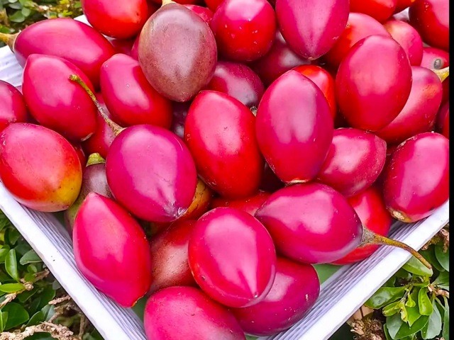 Local Tree Tomato in Nairobi