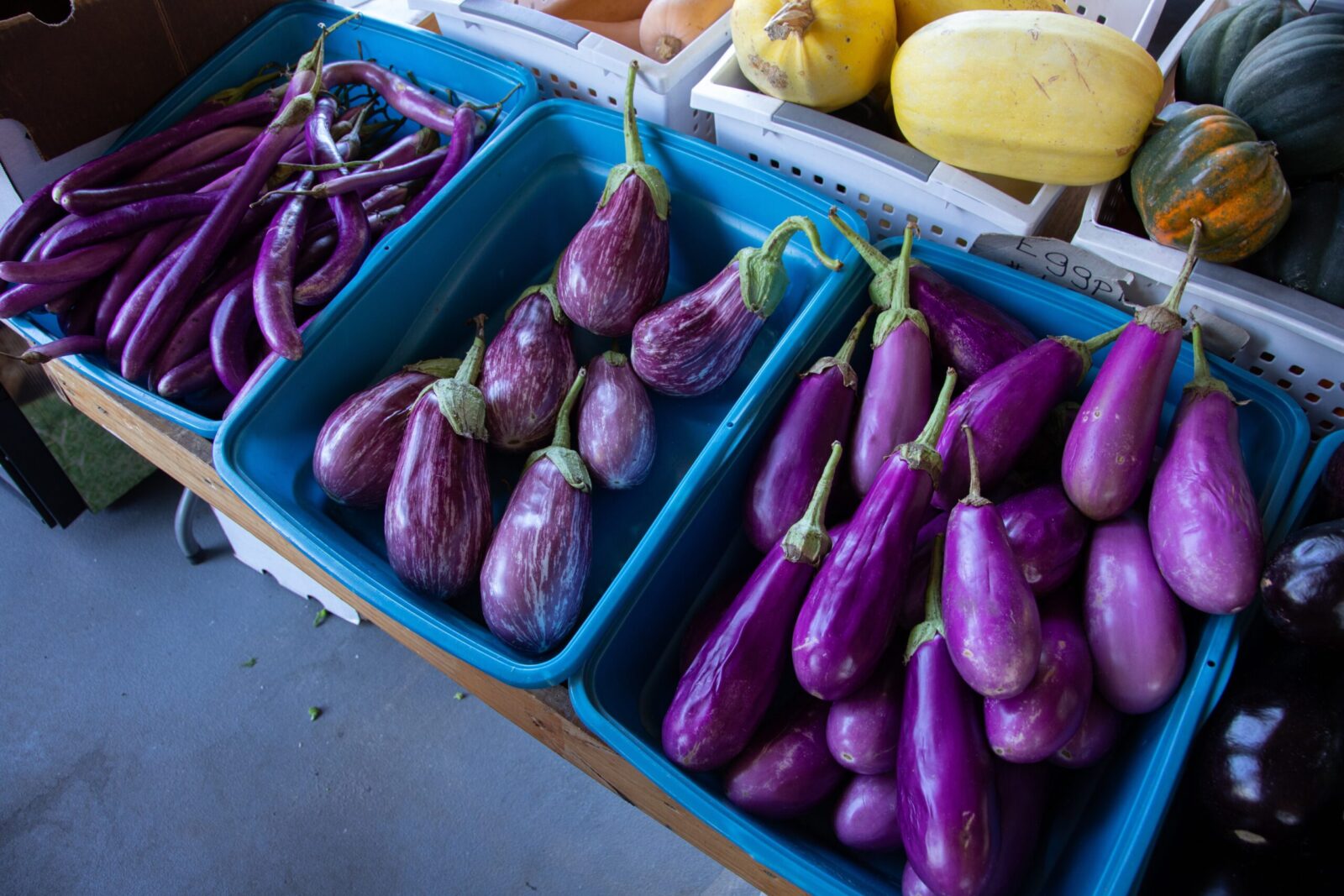 Buy Fresh Eggplants in Nairobi