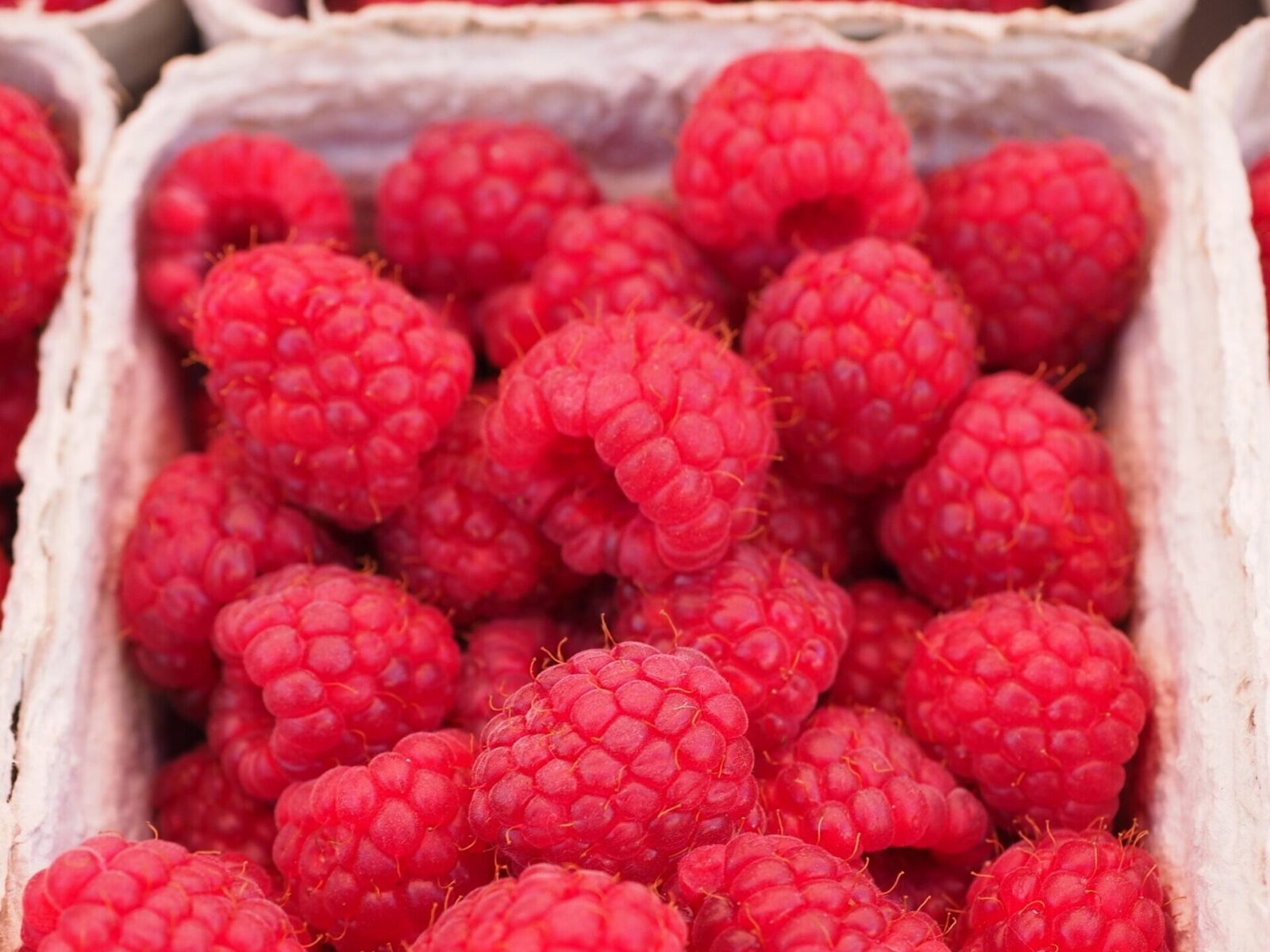 Buy Fresh Raspberries in Nairobi