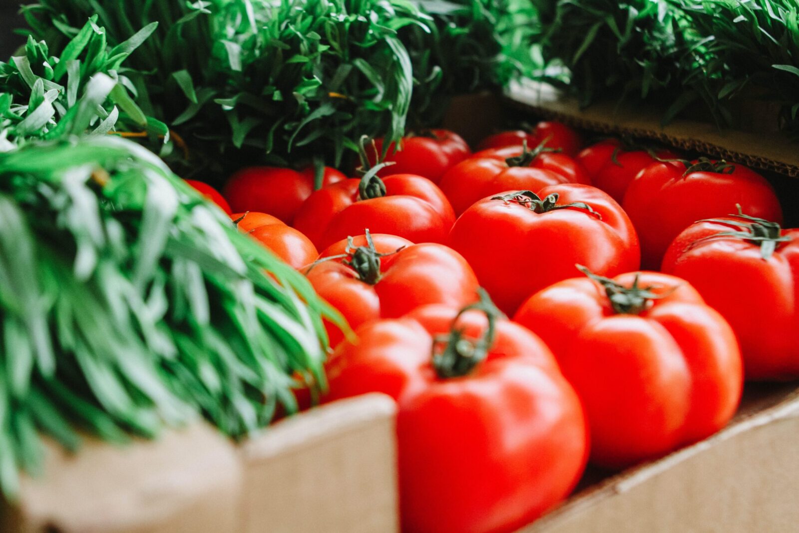 Buy Fresh Tomatoes in Nairobi