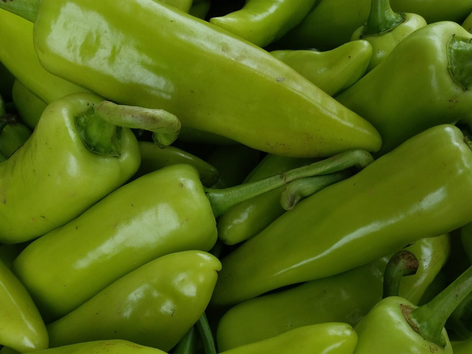 Green Serenade Chilies in Nairobi