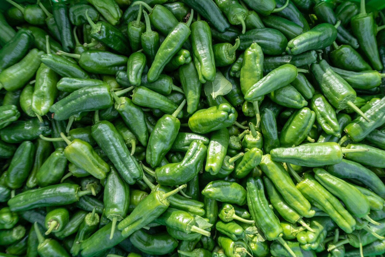 Buy Green Bullet Chilies in Nairobi