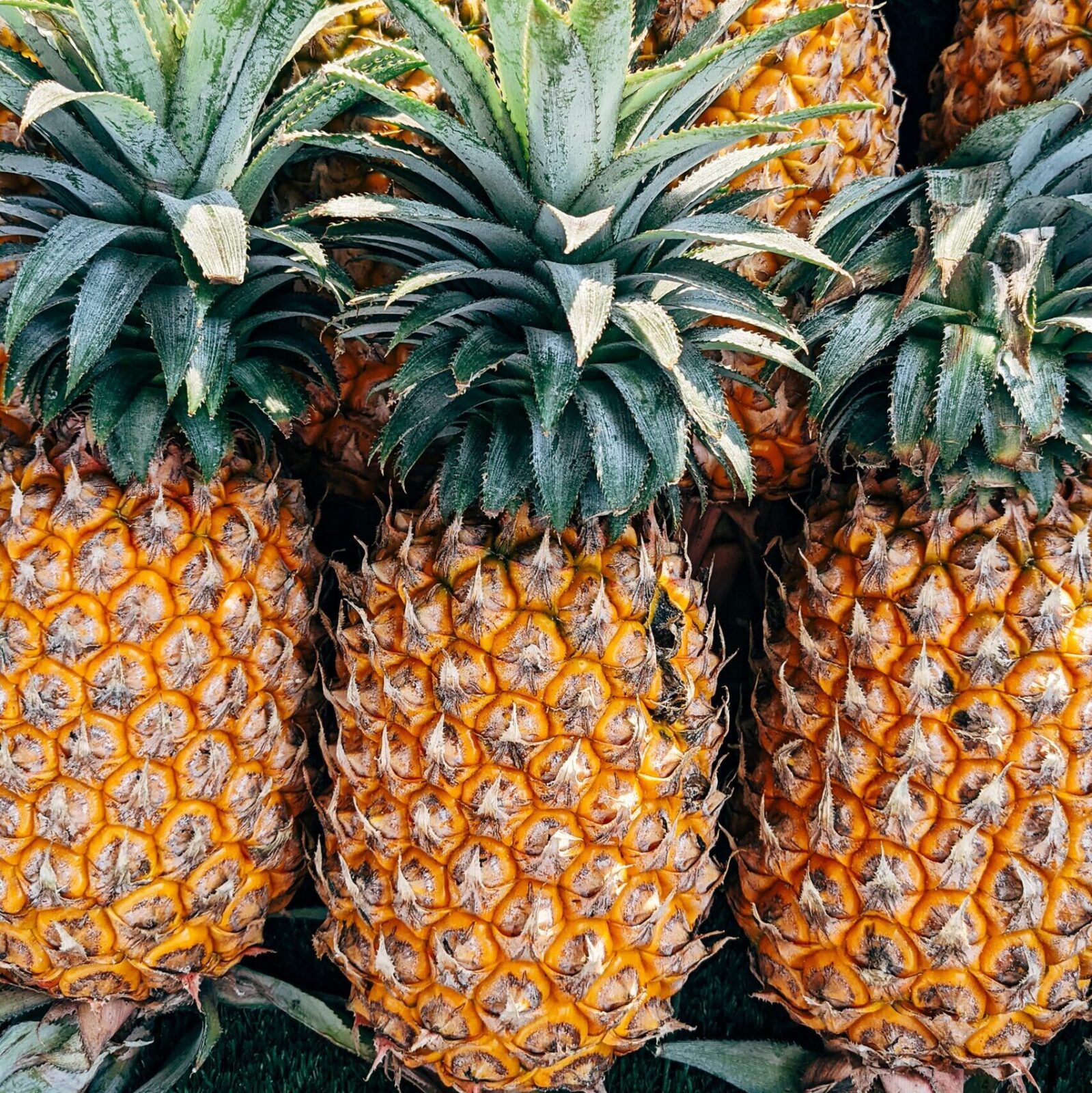 Order Pineapples in Nairobi