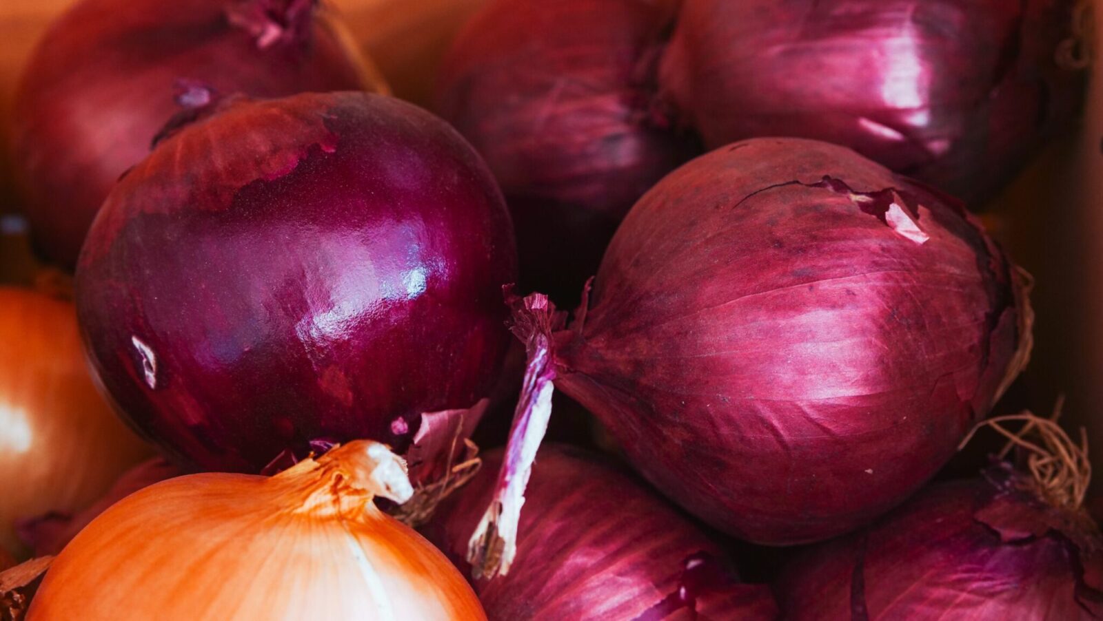 Buy Red Onions in Nairobi