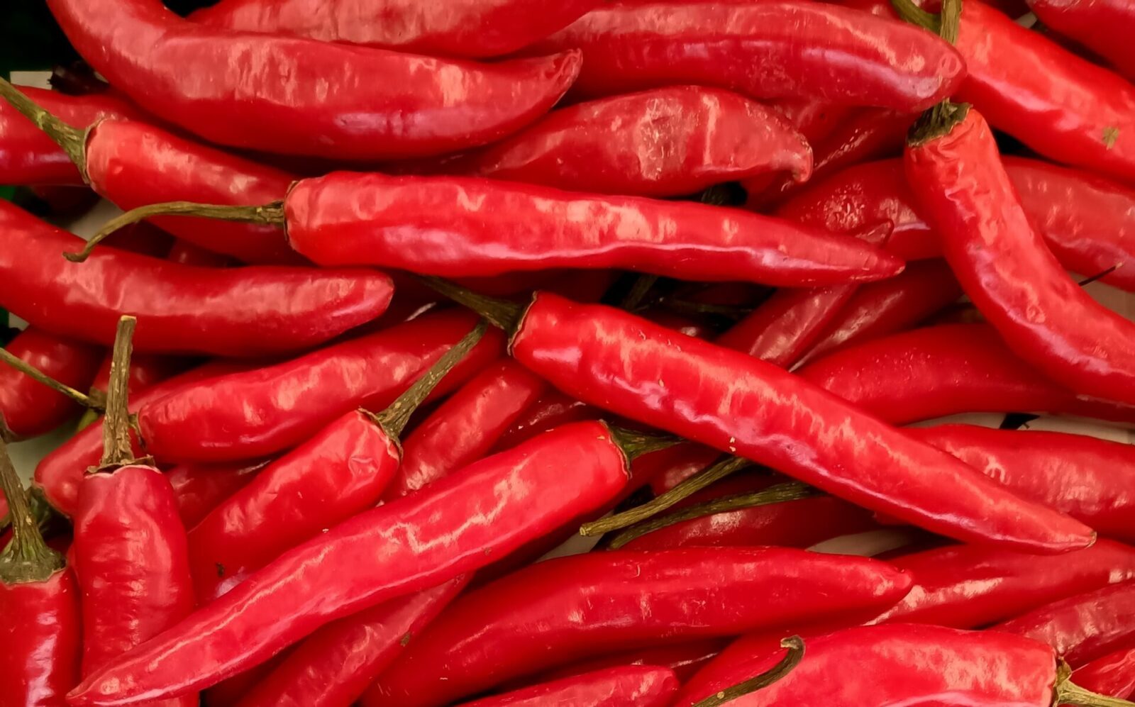 Red Serenade Chilies in Nairobi