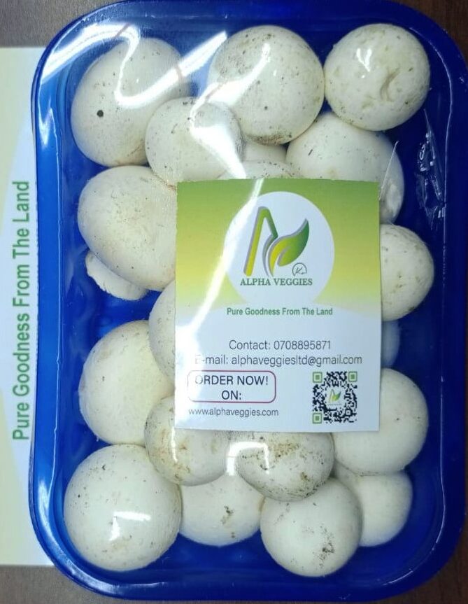 White Button Mushrooms in Nairobi