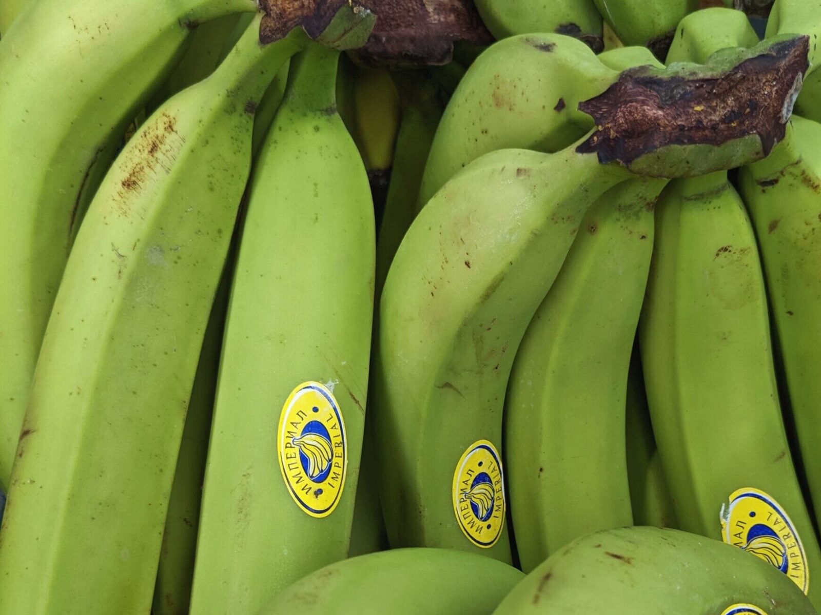 Grocery Delivery in Nairobi