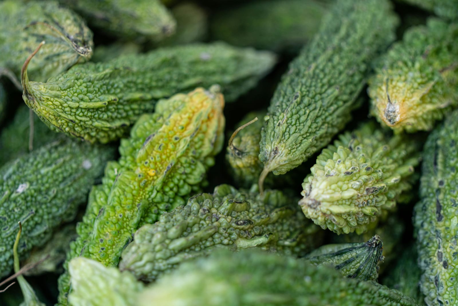 Buy Karela in Nairobi