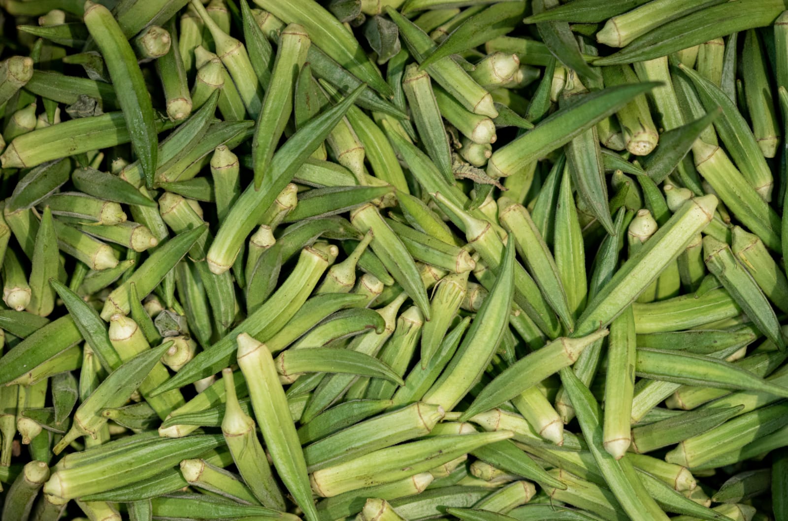 Buy Okra in Nairobi