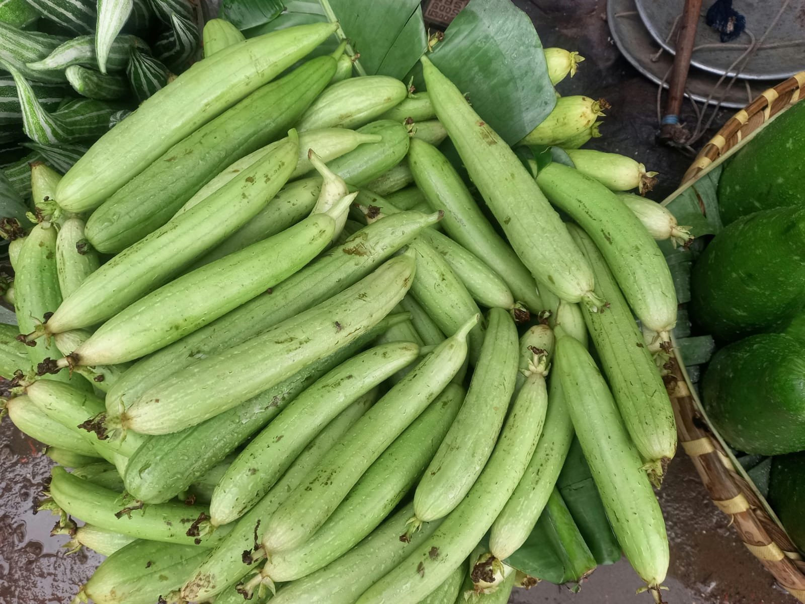 Order fresh Ridge Gourd in Nairobi