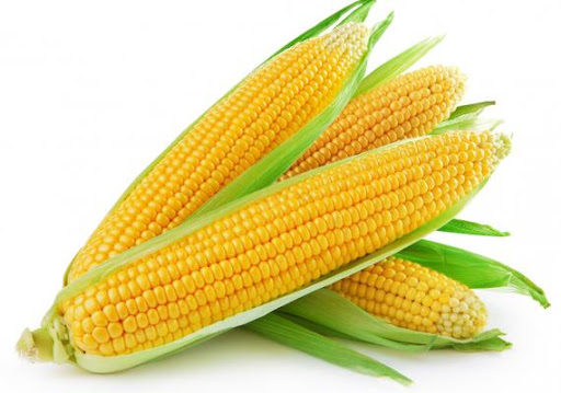 Buy sweet corn in Nairobi