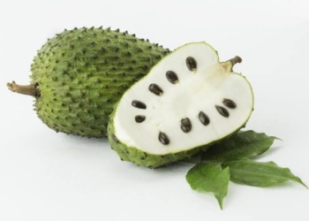 Soursop Fruit – 1kg