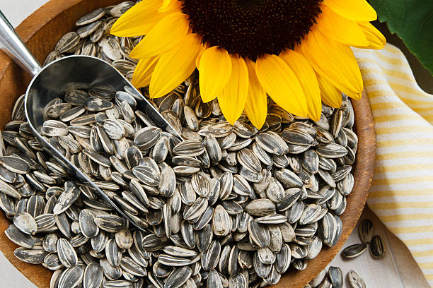 Buy sunflower seeds in Kenya