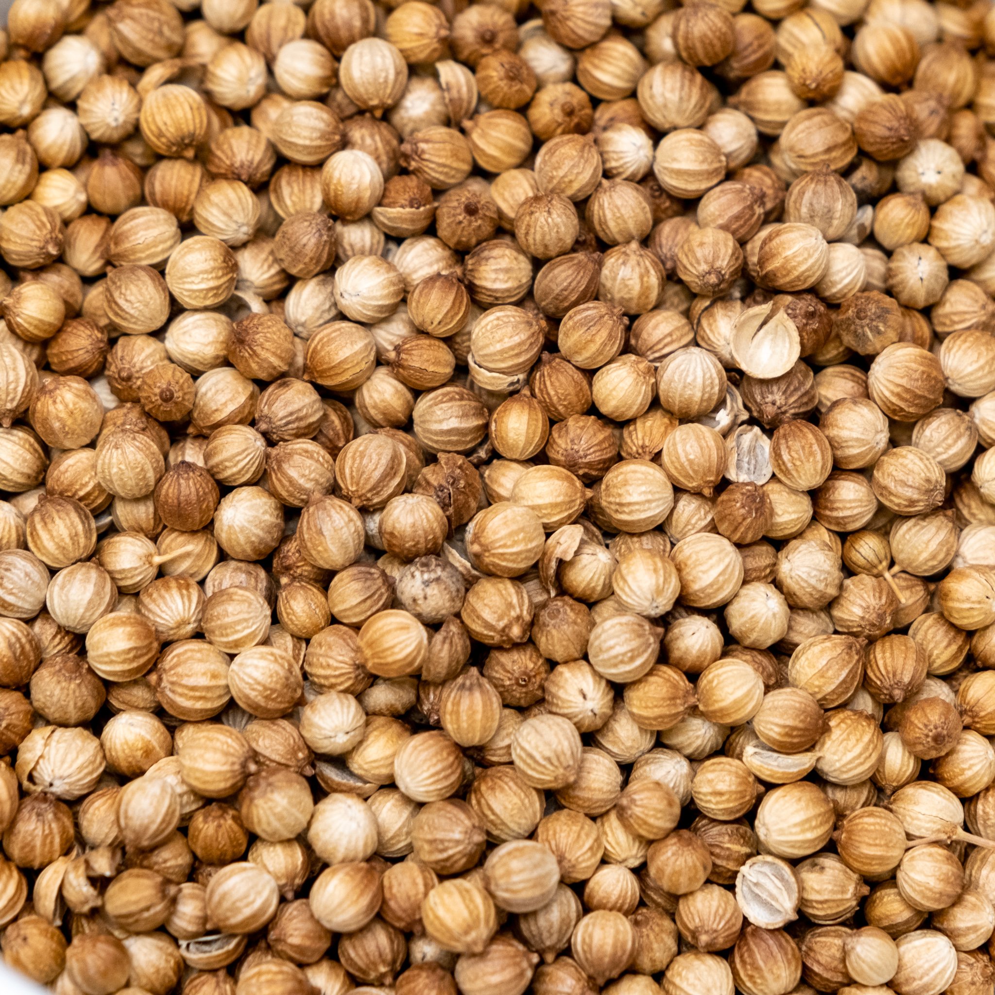 Order coriander/dhania seeds in Kenya