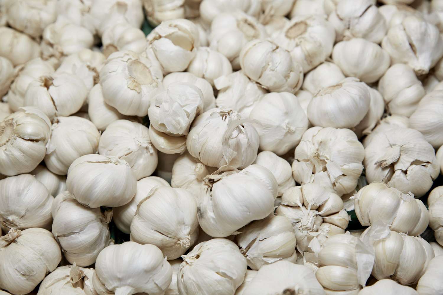 Buy Imported Chinese Garlic in Kenya