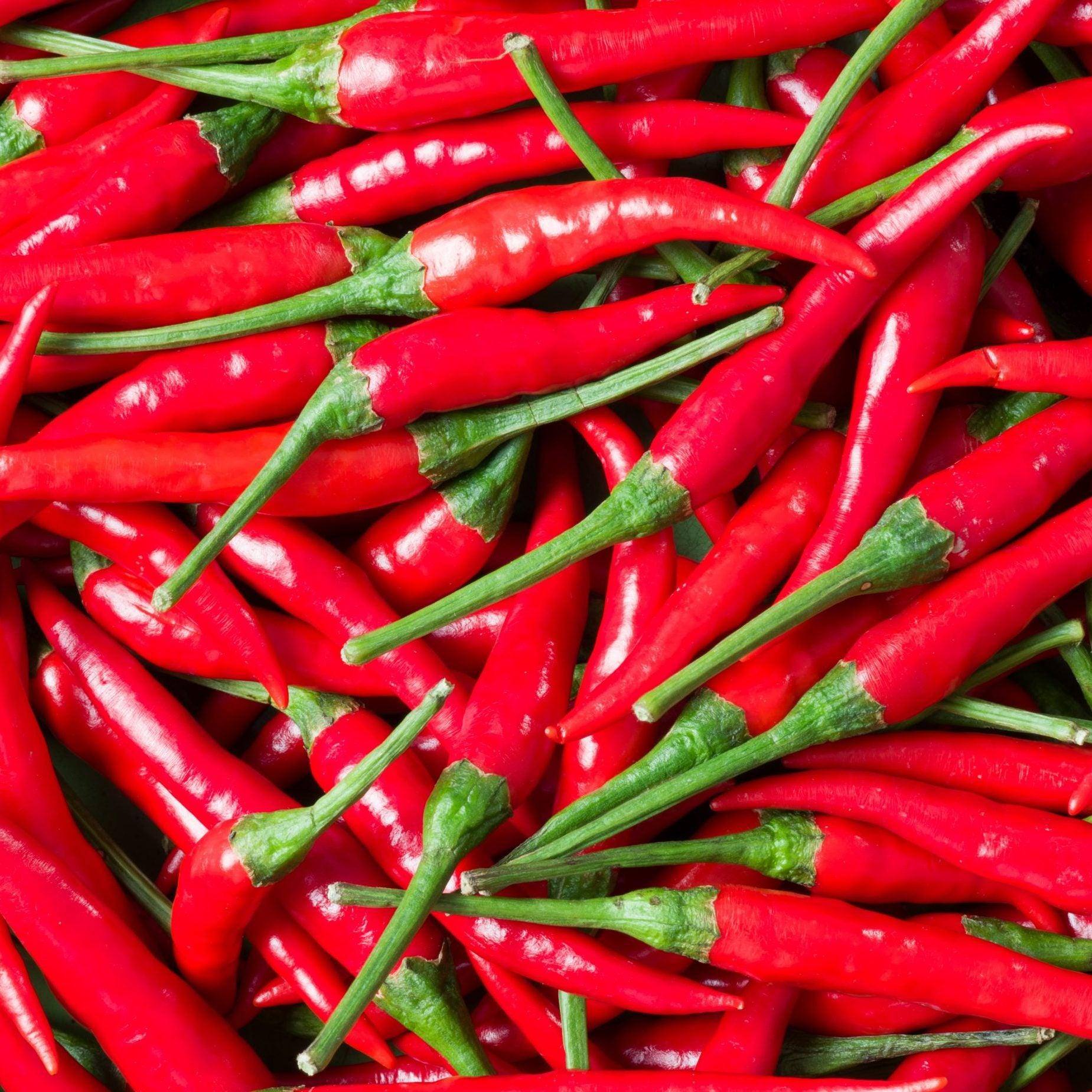 buy hot chilli in Kenya