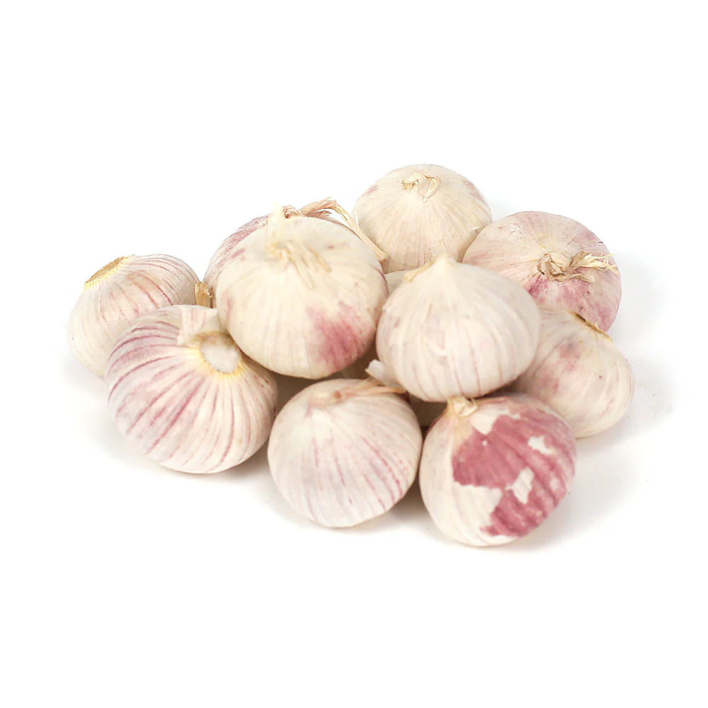 Buy single seed garlic in Kenya