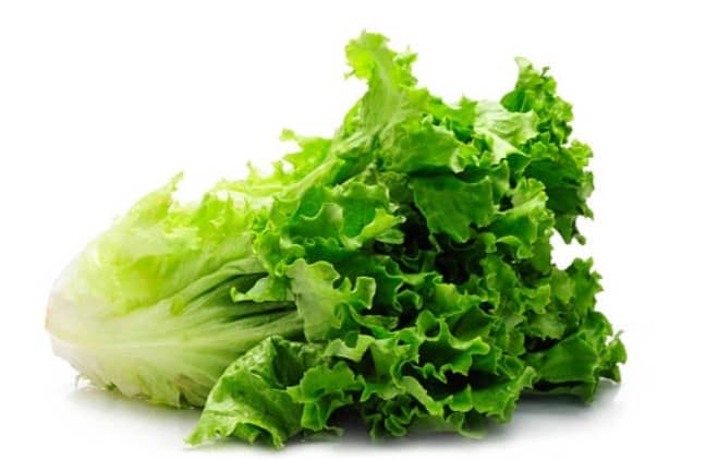 Buy soft lettuce in Kenya