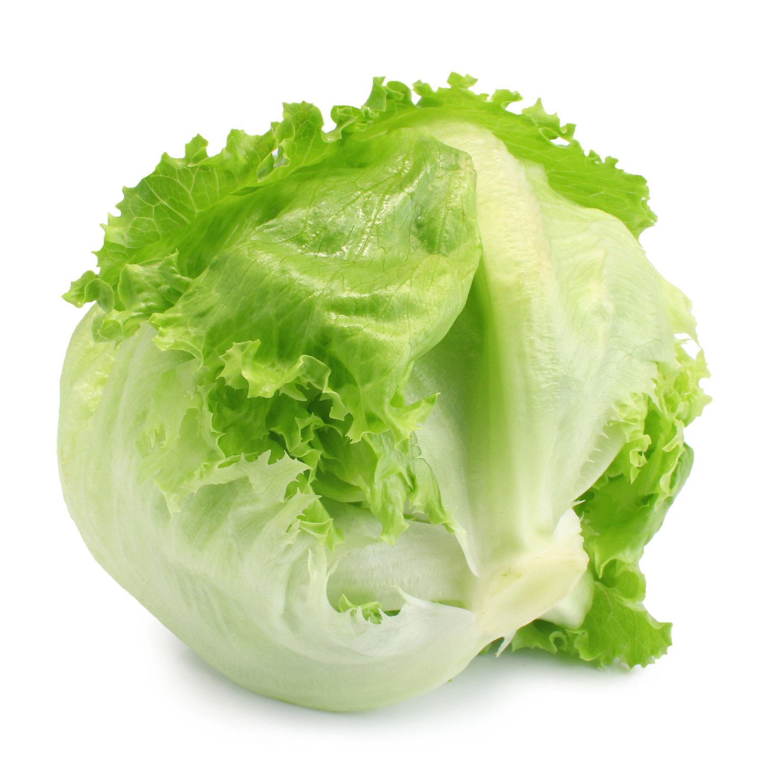 Buy hard lettuce in Kenya