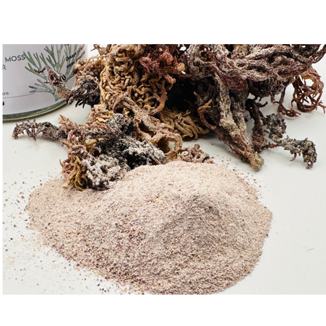 Buy Sea Moss powder in Kenya