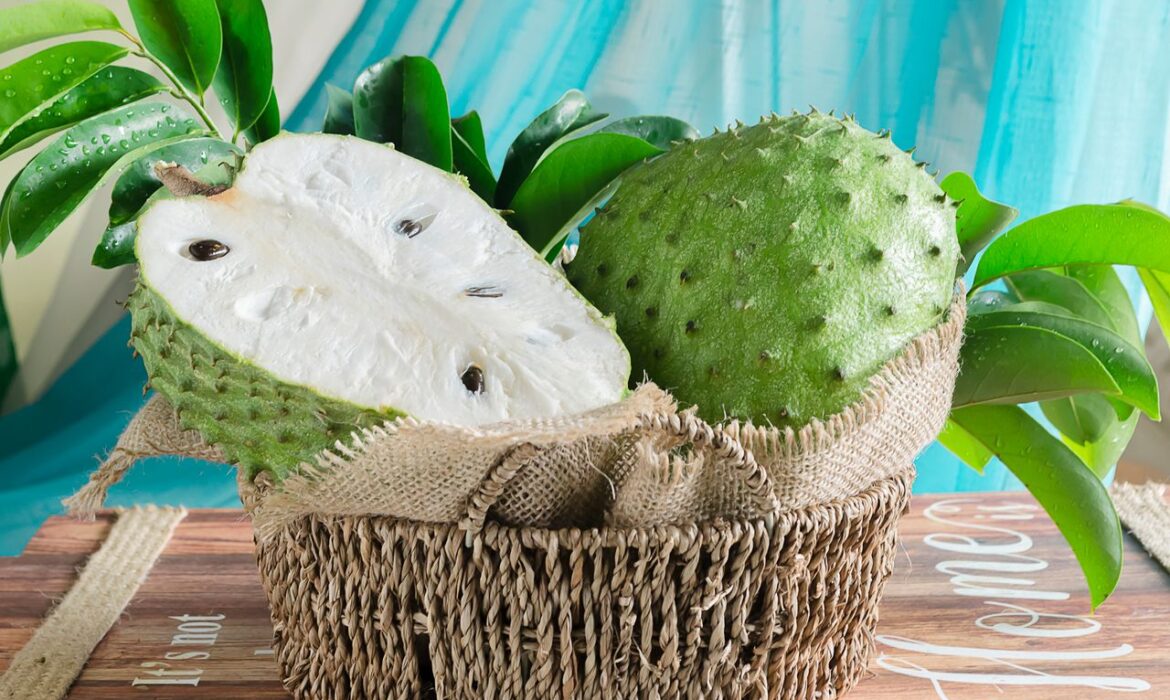 what is soursop used for
