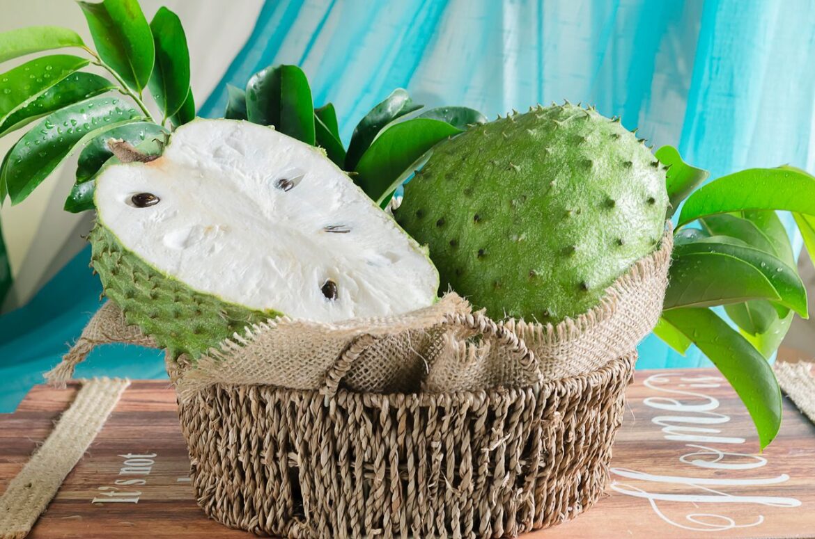 what is soursop used for