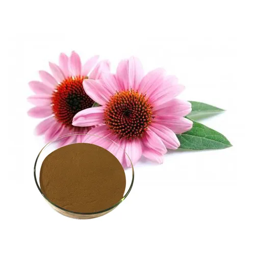 Buy Echinacea in Nairobi