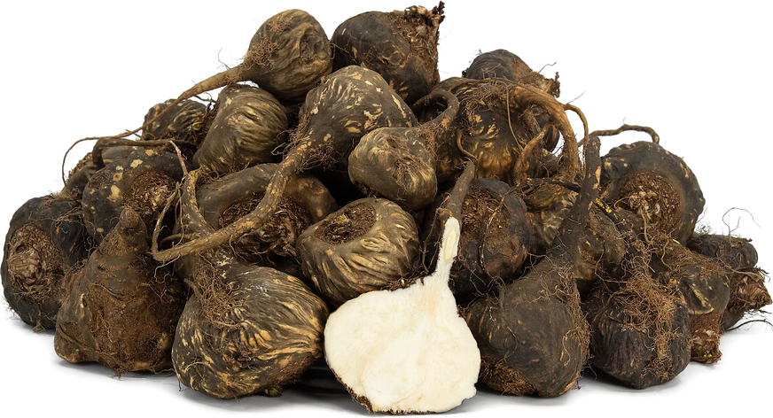 Buy Black Maca in Nairobi