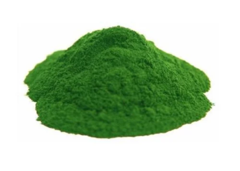 Chlorella Extract – 100g
