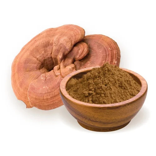 Buy Reishi Extract in Nairobi